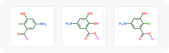 Fragment analogs