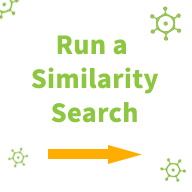 Similarity Analogs
