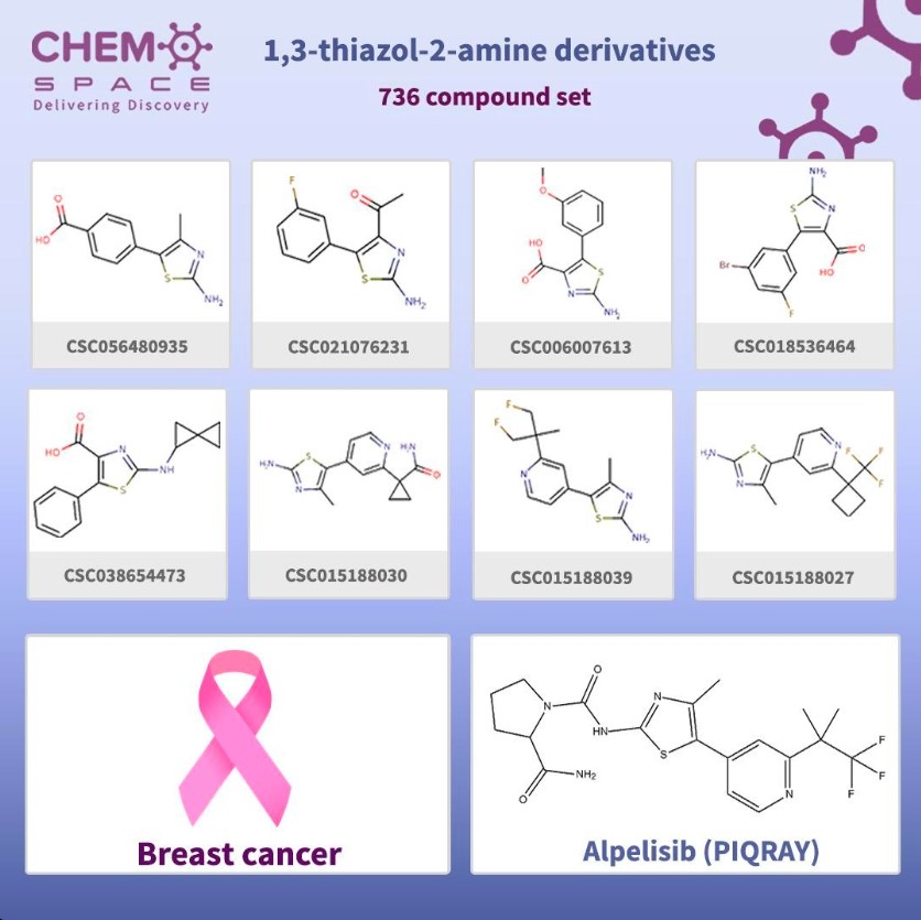 We have created a set of Building Blocks which contain 1,3-thiazol cycle derivatives. They can be used in drug discovery for treatment of  breast cancer.