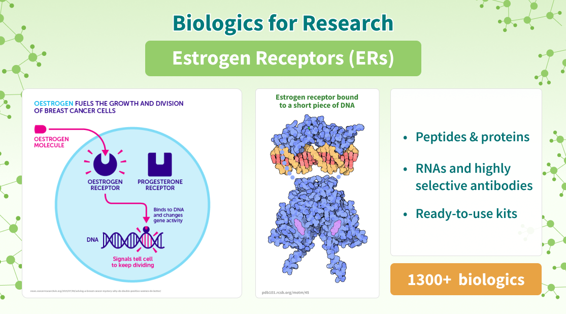 Chemspace | Biologics for Research | Estrogen Receptors (ERs)-related proteins, peptides, RNAs, antibodies, and kits