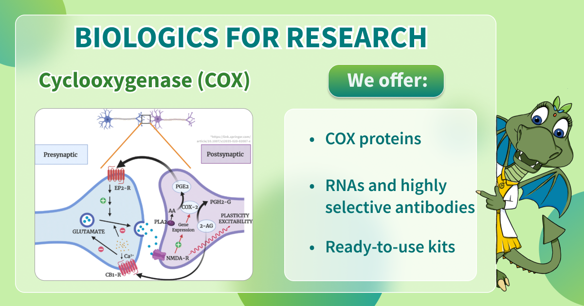 Biologics for Research - Cyclooxygenase (COX)