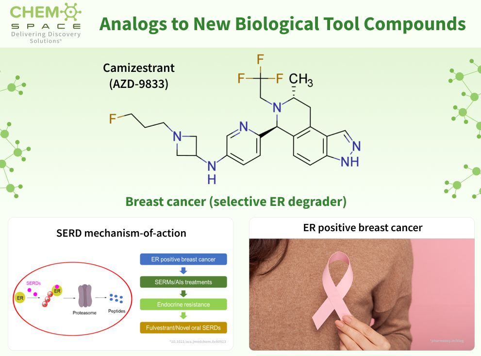 Chemspace offers Analogs to New Biological Tool Compounds. Part 33. Camizestrant (AZD-9833) — an orally active selective estrogen receptor degrader (SERD) now in breast cancer trials