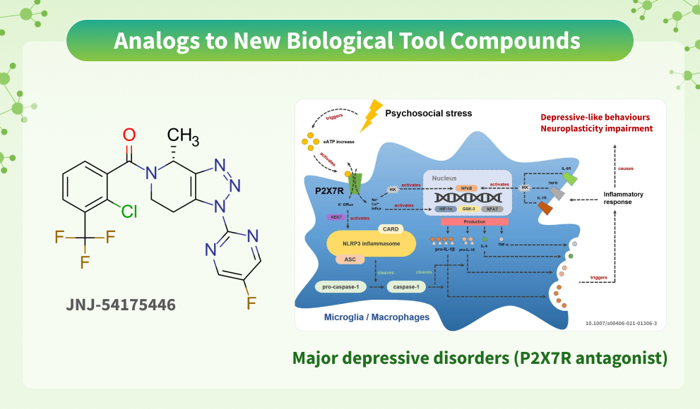 Chemspace offers Analogs to New Biological Tool Compounds. Part 27. JNJ-54175446 - an oral P2X7R antagonist in Phase II trials for major depressive disorder