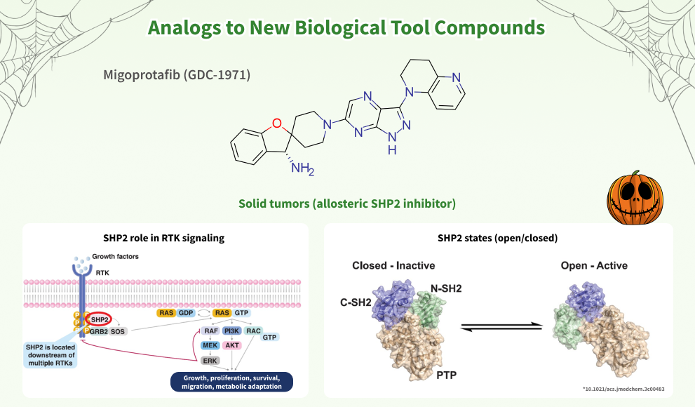 Chemspace offers Analogs to New Biological Tool Compounds. Part 29. GDC-1971 - an oral allosteric inhibitor of SHP2 now in Phase I for the treatment of advanced or metastatic solid tumors