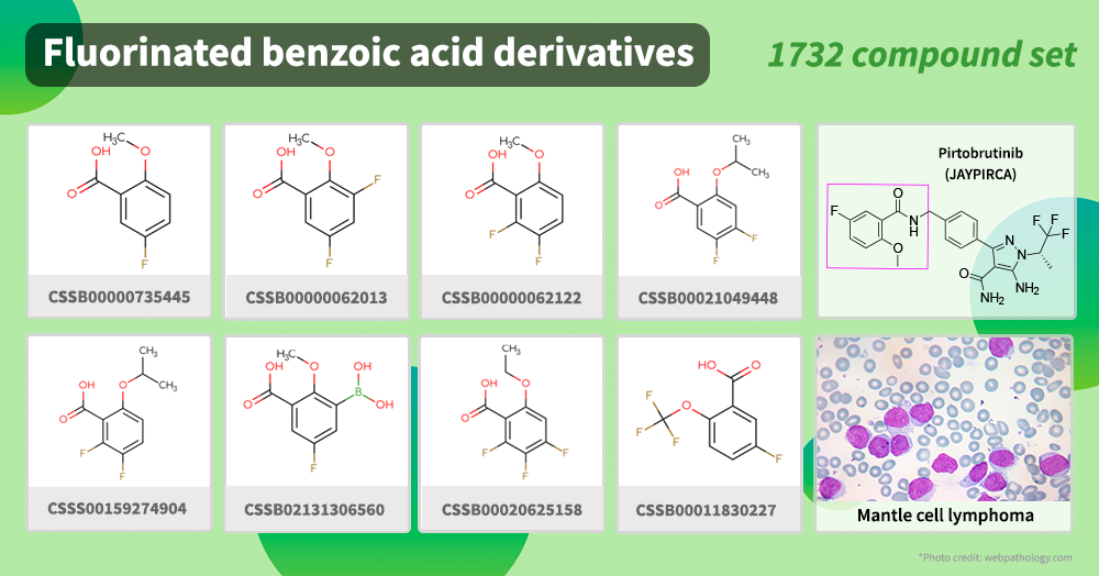 Chemspace | Building Blocks for Analogs of Adagrasib. We offer more than 1700 BBs for your research in anti-cancer medications