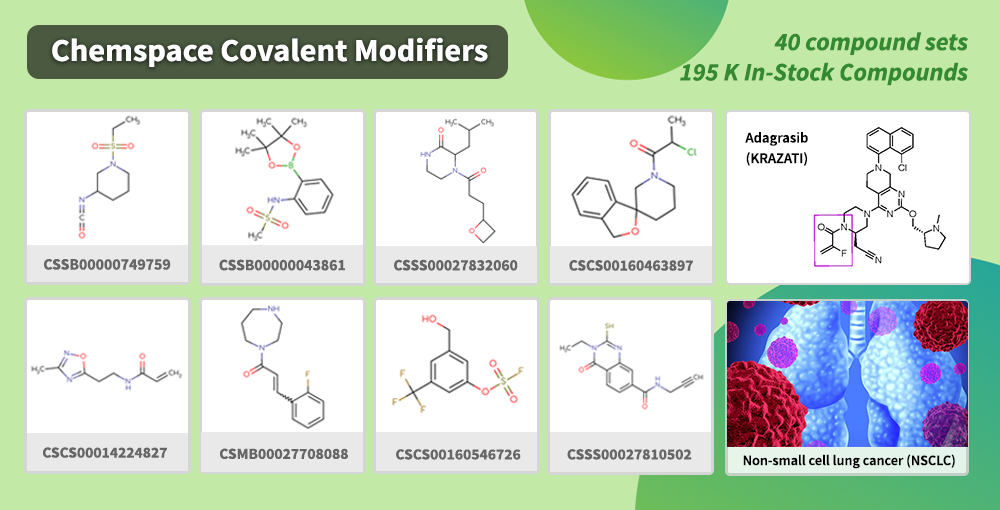 Chemspace | Covalent Modifiers for Analogs of Adagrasib. We offer 40 Covalent Modifiers sets