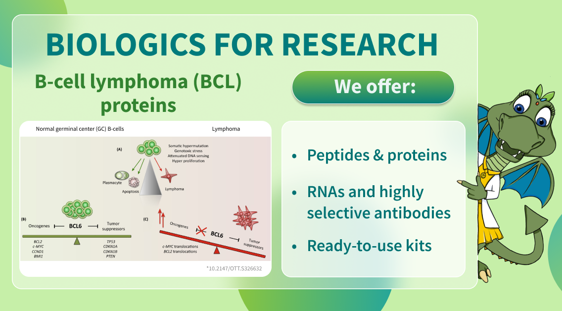 Chemspace | Biologics for Research – B-cell lymphoma (BCL) proteins