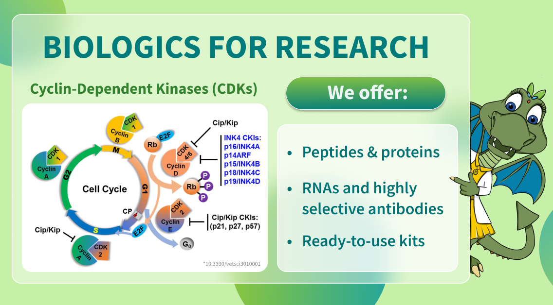 Chemspace | Biologics for Research – Cyclin-Dependent Kinases (CDKs)