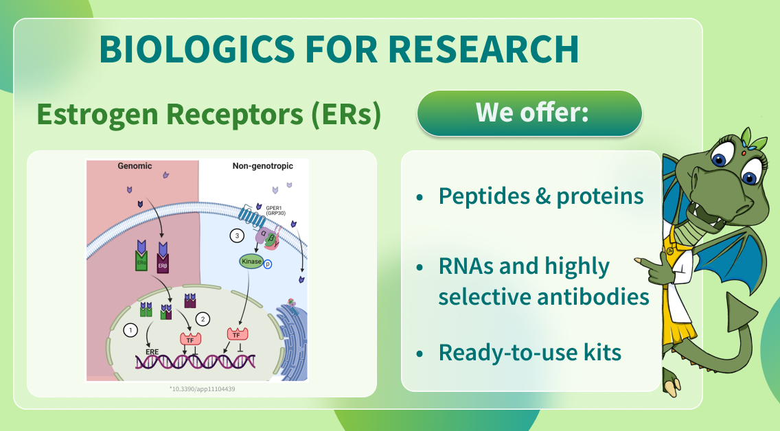 Chemspace | Biologics for Research – Estrogen Receptors (ERs)