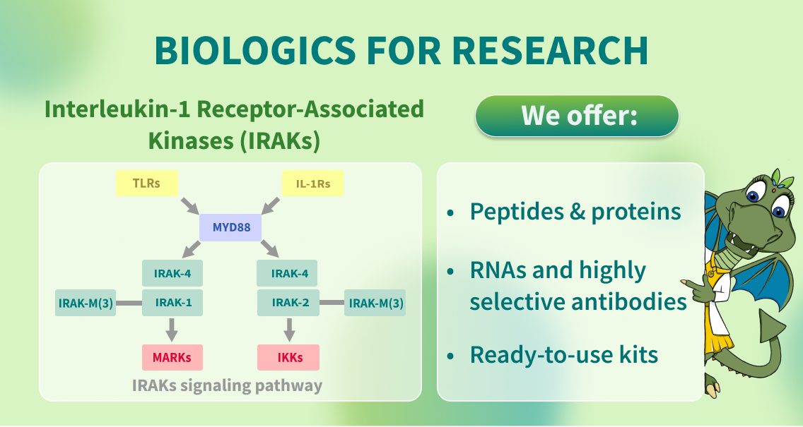 Chemspace | We offer Biologics for Research – Interleukin-1 Receptor-Associated Kinases (IRAKs)