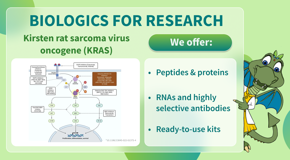 Chemspace | Biologics for Research – Kirsten rat sarcoma virus oncogene (KRAS)