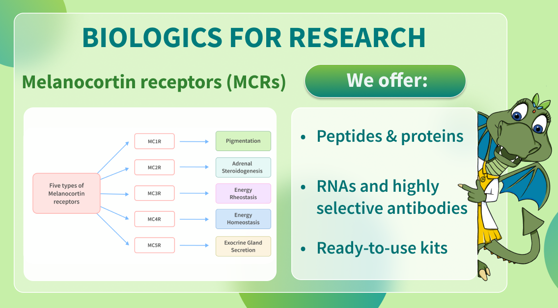 Chemspace | Biologics for Research – Melanocortin receptors (MCRs)