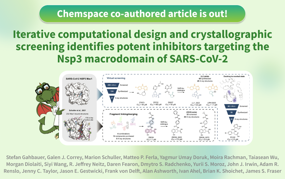 Chemspace | Structure-based discovery of SARS-CoV-2 Macrodomain inhibitors | article co-authored by Chemspace CEO Yurii Moroz