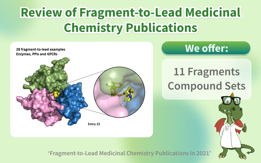 Chemspace offers 11 Fragments Sets for using in Fragment-to-Lead Medicinal Chemistry