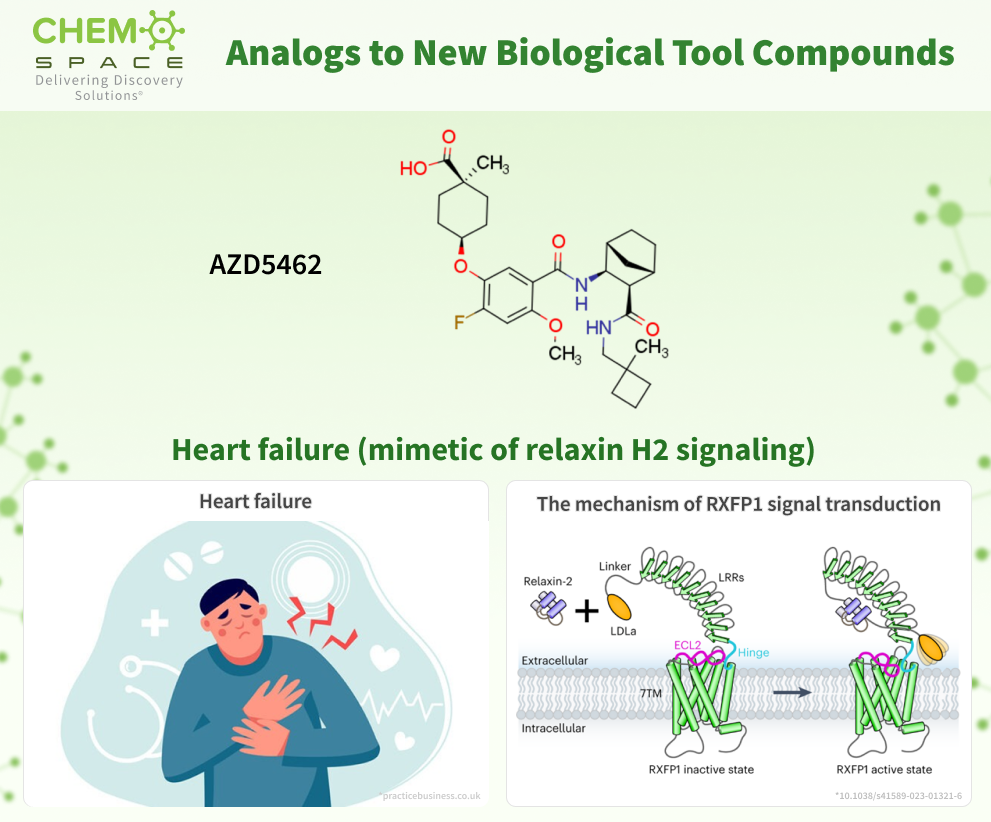 Chemspace offers Analogs to New Biological Tool Compounds. Part 35. AZD5462 — potent and selective pharmacological mimetic of relaxin H2 signaling that is a potential treatment for heart failure