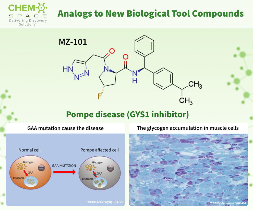 Chemspace offers Analogs to New Biological Tool Compounds. Part 34. MZ-101 — an oral and selective small molecule GYS1 inhibitor