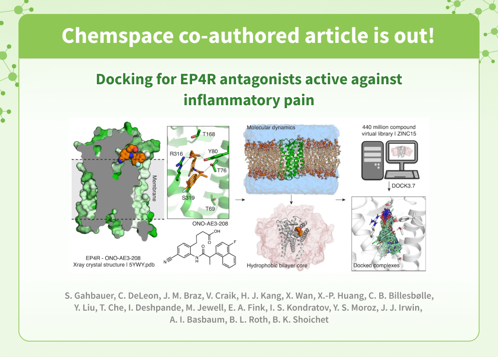 Chemspace Publications | Docking for EP4R antagonists active against inflammatory pain