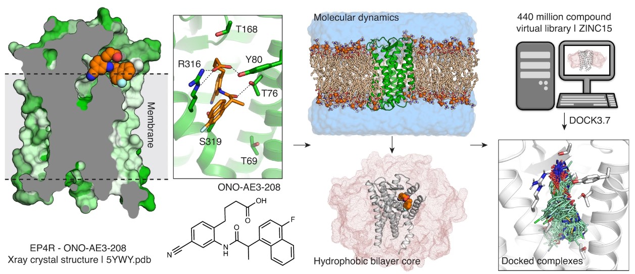10.1038@s41467-023-43506-6_Docking_for_EP4R_antagonists.jpg