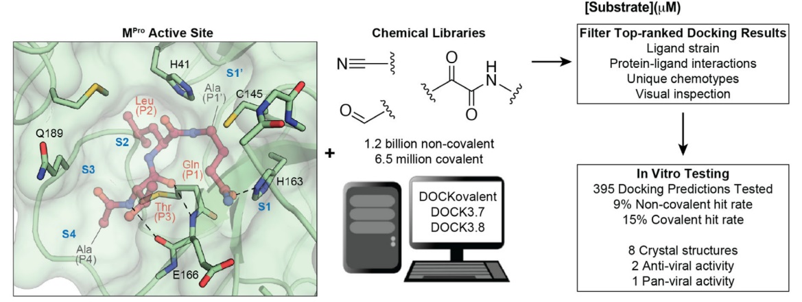 large_library_docking_for_novel_SARS-CoV-2_main_protease_inhibitors.jpg