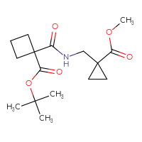 C16H25NO5