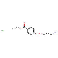 Chemical structure of ethyl 4-(4-aminobutoxy)benzoate hydrochloride - CSSB20963516646