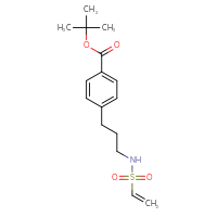 Chemical structure of tert-butyl 4-(3-ethenesulfonamidopropyl)benzoate - CSSB21332067694