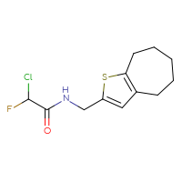 Chemical structure of 2-chloro-N-({4H,5H,6H,7H,8H-cyclohepta[b]thiophen-2-yl}methyl)-2-fluoroacetamide - CSSB21332118144