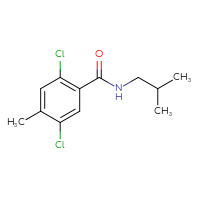 Chemical structure of 2,5-dichloro-4-methyl-N-(2-methylpropyl)benzamide - CSSB06685382791