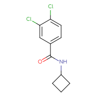 Chemical structure of 3,4-dichloro-N-cyclobutylbenzamide - CSSB00024394517