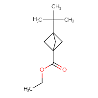 Chemical structure of ethyl 3-tert-butylbicyclo[1.1.1]pentane-1-carboxylate - CSSB01216575078