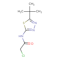 Chemical structure of N-(5-tert-butyl-1,3,4-thiadiazol-2-yl)-2-chloroacetamide - CSSB00000689538