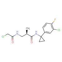 C15H17Cl2FN2O2