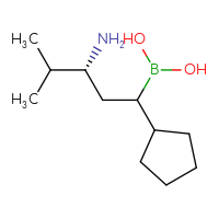 C11H24BNO2