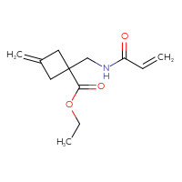 Chemical structure of ethyl 3-methylidene-1-[(prop-2-enamido)methyl]cyclobutane-1-carboxylate - CSSB21332077941