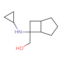 C11H19NO