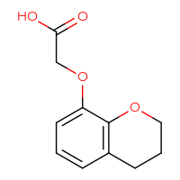 Chemical structure of 2-(3,4-dihydro-2H-1-benzopyran-8-yloxy)acetic acid - CSSB00021210475