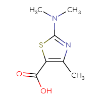 Chemical structure of 2-(dimethylamino)-4-methyl-1,3-thiazole-5-carboxylic acid - CSSB00000244951