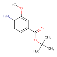 Chemical structure of tert-butyl 4-amino-3-methoxybenzoate - CSSB00006008910