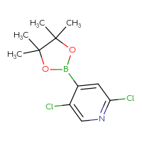 C11H14BCl2NO2
