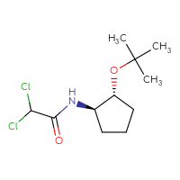C11H19Cl2NO2
