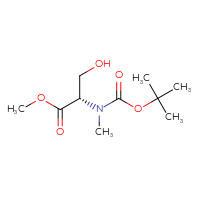 C10H19NO5