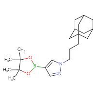 Chemical structure of 1-[3-(adamantan-1-yl)propyl]-4-(4,4,5,5-tetramethyl-1,3,2-dioxaborolan-2-yl)-1H-pyrazole - CSSB21332073300
