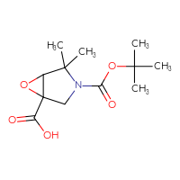C12H19NO5