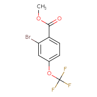 Chemical structure of methyl 2-bromo-4-(trifluoromethoxy)benzoate - CSSB00010189652