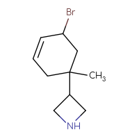 C10H16BrN