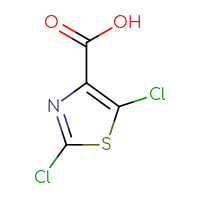 Chemical structure of dichloro-1,3-thiazole-4-carboxylic acid - CSSB00000119072