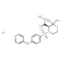 Chemical structure of (3S)-N-hydroxy-2,2-dimethyl-4-[4-(pyridin-4-yloxy)benzenesulfonyl]thiomorpholine-3-carboxamide hydrochloride - CSSB00161189012