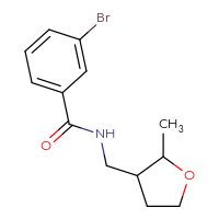 Chemical structure of 3-bromo-N-[(2-methyloxolan-3-yl)methyl]benzamide - CSSB00007292018