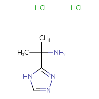 C5H12Cl2N4