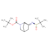 Chemical structure of tert-butyl 6-{[(R)-2-methylpropane-2-sulfinyl]imino}-2-azabicyclo[2.2.1]heptane-2-carboxylate - CSSB21332856420